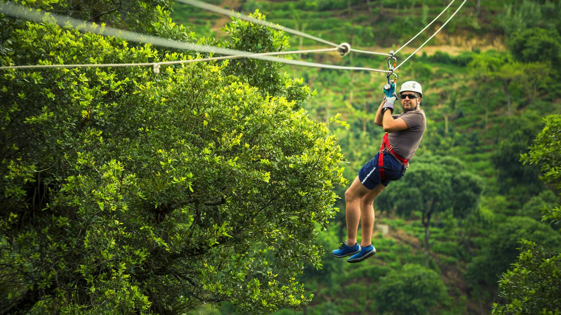 2000x2000 0 70 636f554e5de1b074e422356d098ec8ae