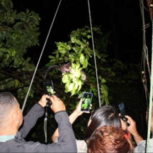Night Tour Manuel Antonio Costa Rica