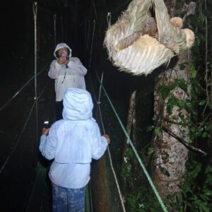 whatsapp image 2025 11 03 at 6.06.04 am (1)