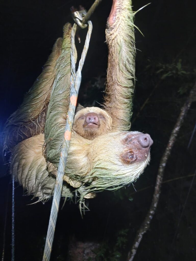 whatsapp image 2025 11 03 at 6.06.04 am