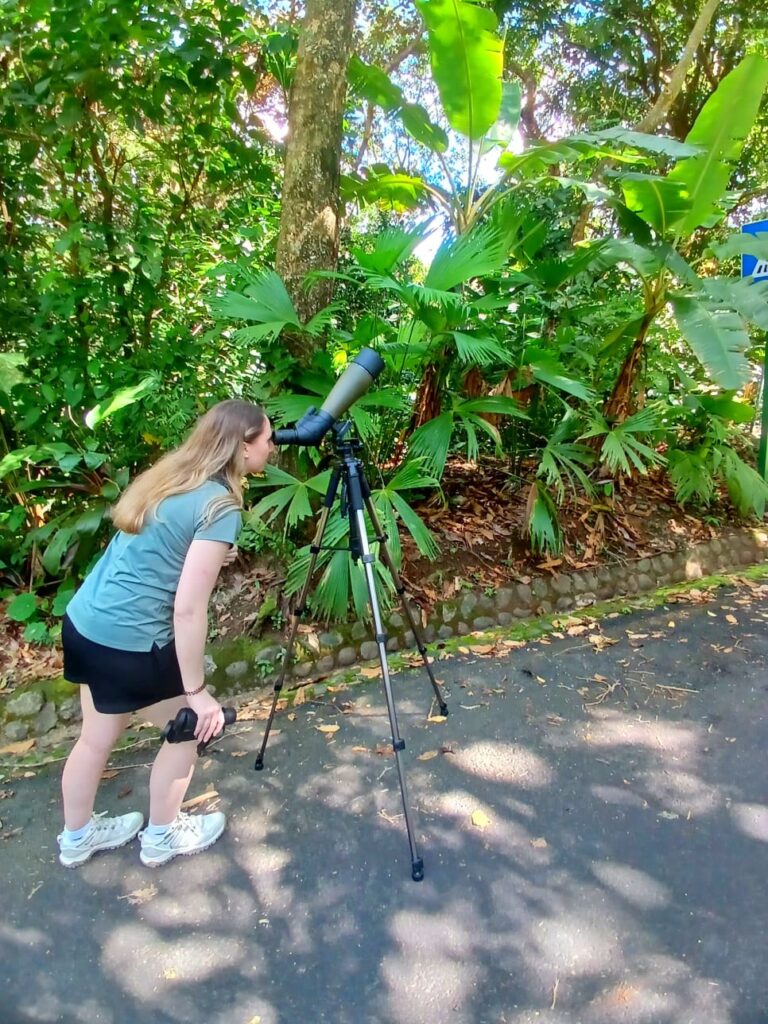 whatsapp image 2025 11 07 at 10.37.44 pm