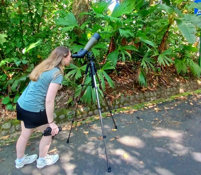 whatsapp image 2025 11 07 at 10.37.44 pm