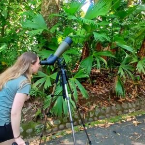 whatsapp image 2025 11 07 at 10.37.44 pm