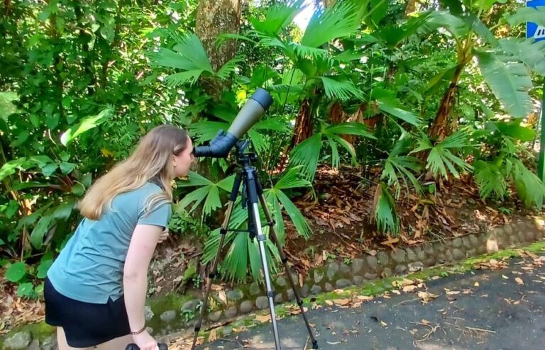 whatsapp image 2025 11 07 at 10.37.44 pm