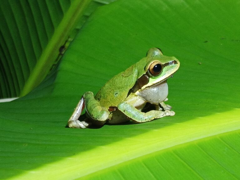 whatsapp image 2025 11 09 at 10.00.14 pm (2)