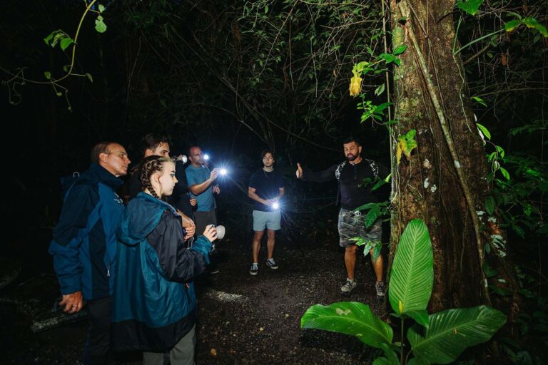 caminata nocturna7 10882e6f